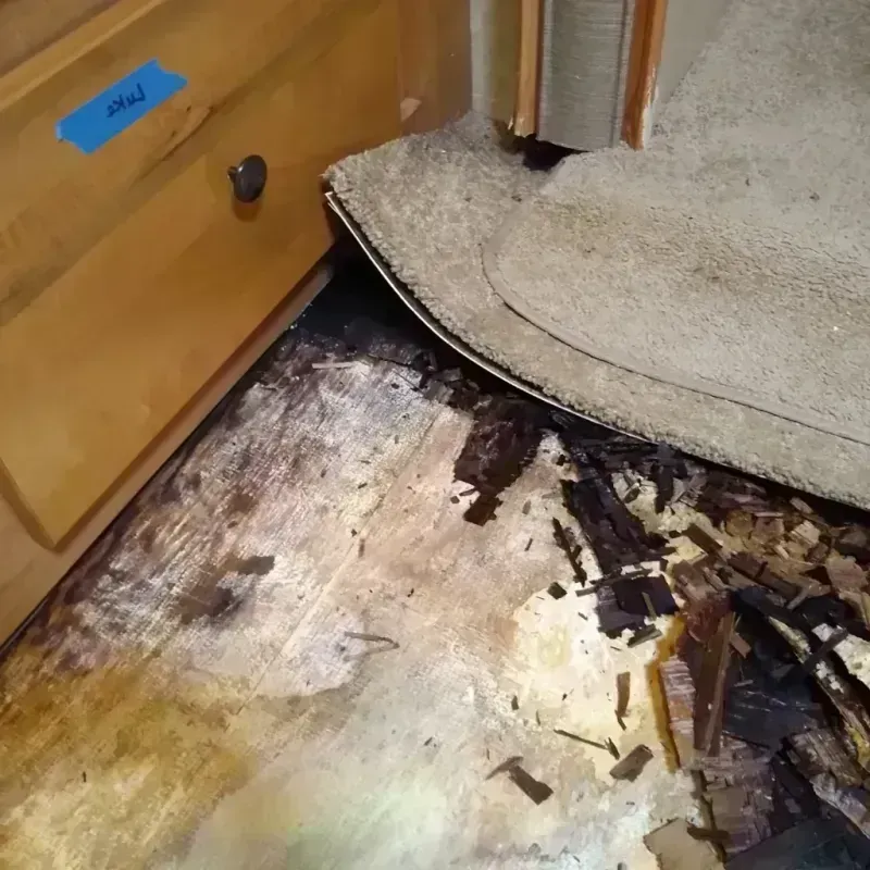 Wood Floor Water Damage in Palm Coast, FL